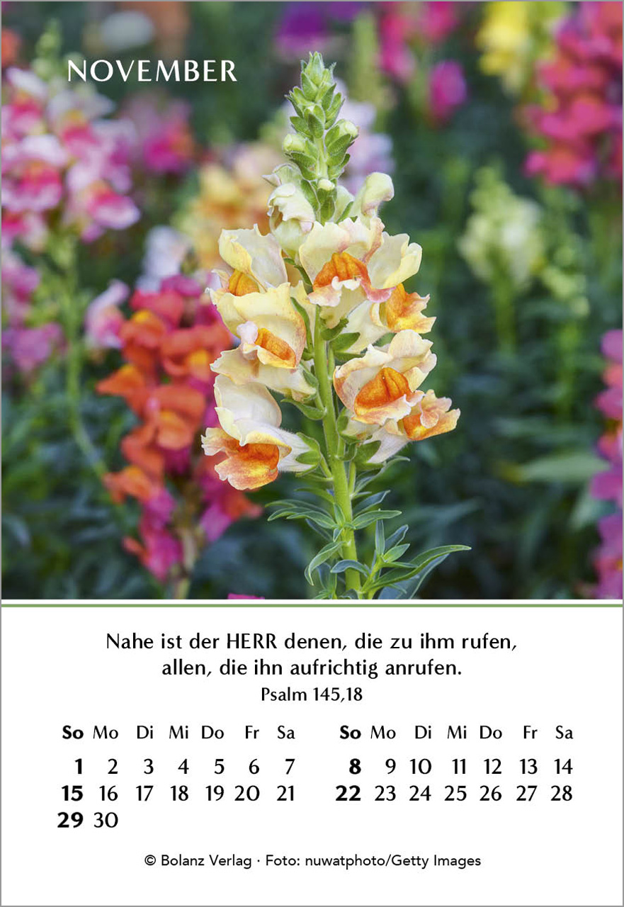 Ein Jahr der Freude Mini-Kalender 2026