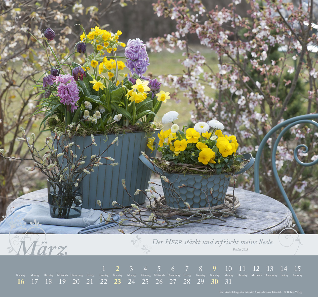 Im Garten zu Hause 2025 - Wandkalender