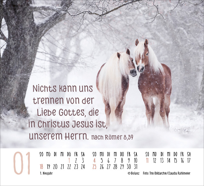 Pferde - elegante Schönheiten - Minikalender 2026 Pferde - elegante Schönheiten - Minikalender 2026