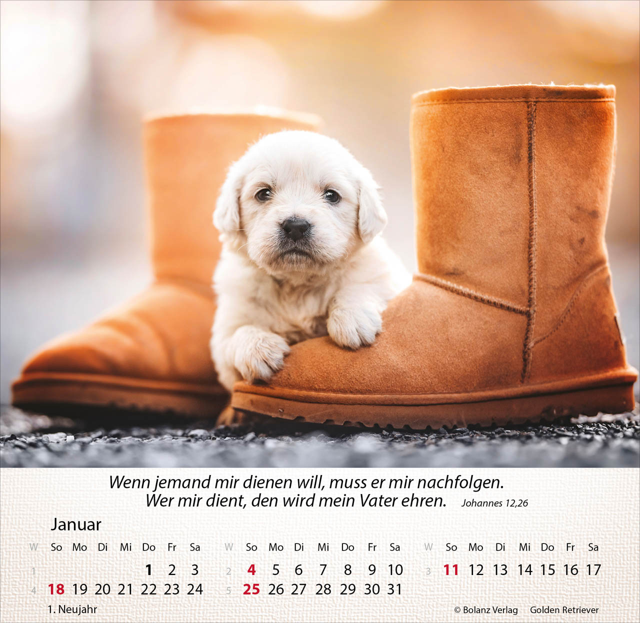 Hunde 2026 - Tischkalender