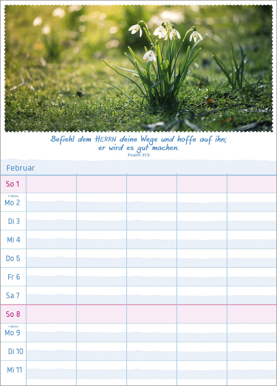 Multiplaner 2026 - Terminplaner Multiplaner 2026 - Terminplaner