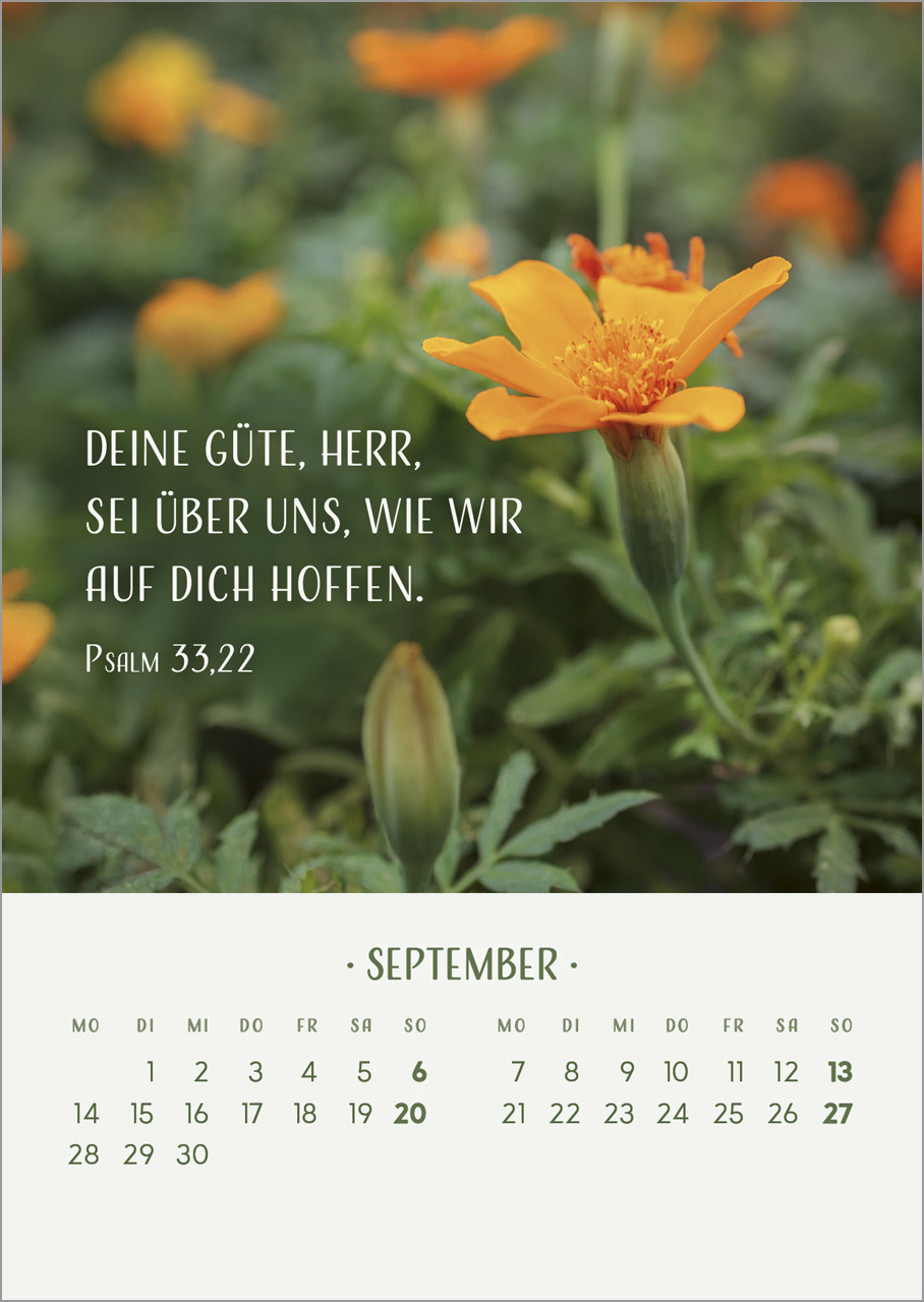 Zarte Blumengrüße 2026 Zarte Blumengrüße 2026