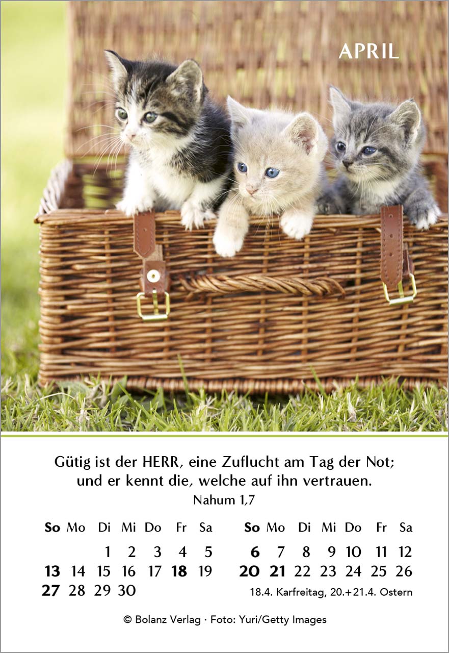 Ein Jahr der Freude Mini-Kalender