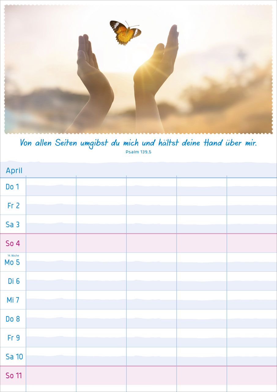 Multiplaner 2027 – Terminplaner