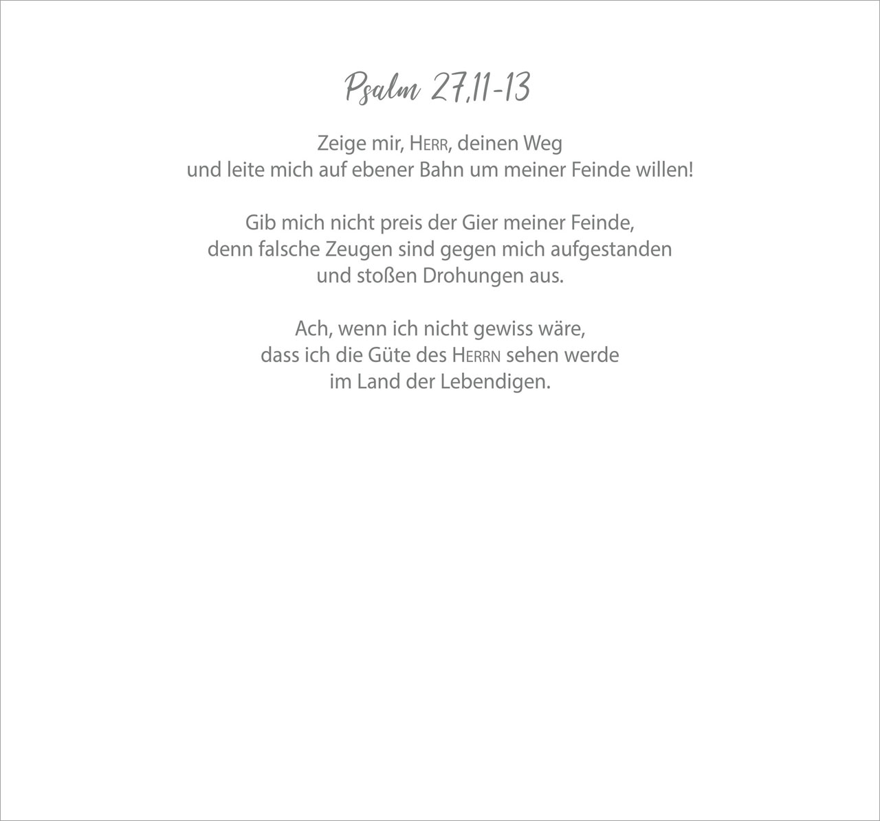 Ein Leben für die Schafe 2026 - Wandkalender