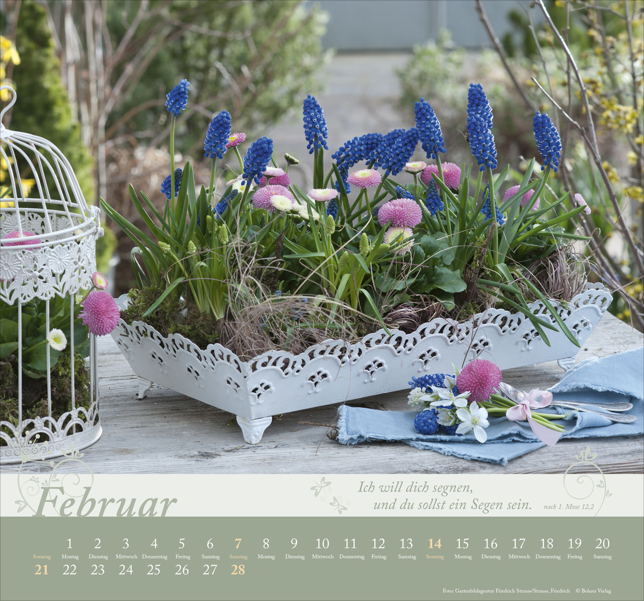 Im Garten zuhause 2027 – Wandkalender