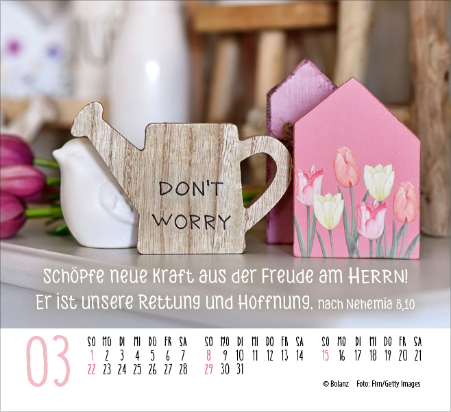 Danke 2026 - Minikalender