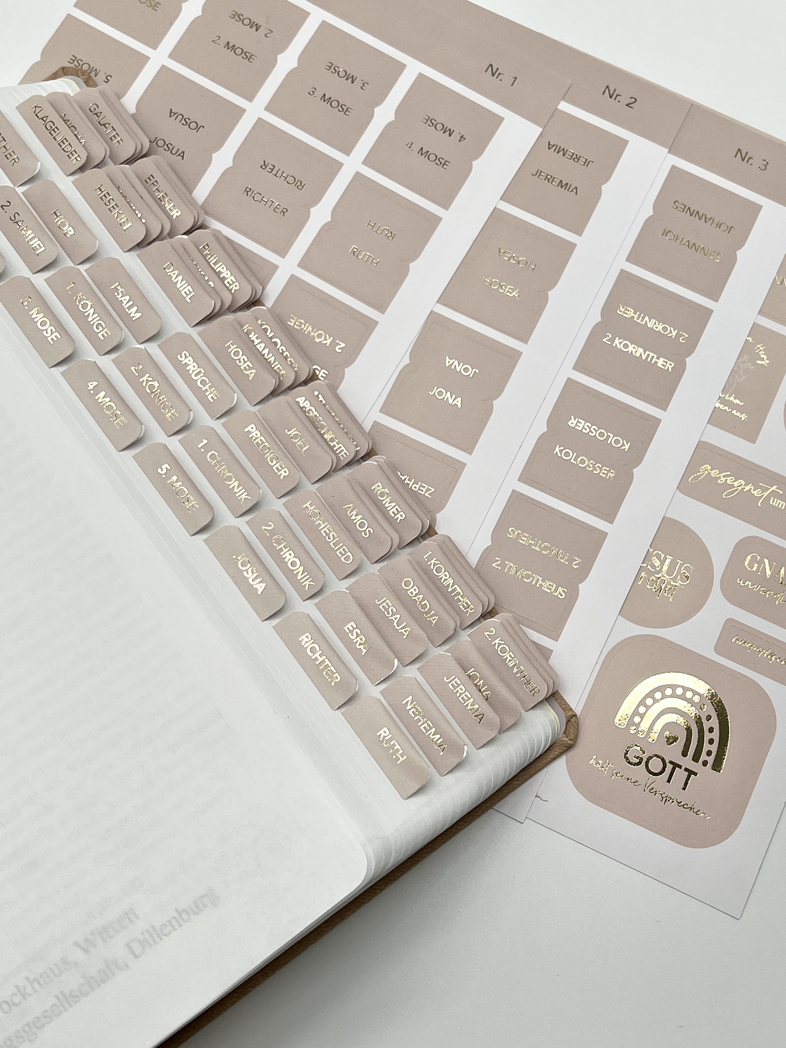 Bibel-Griffregister Cremefarben mit Goldveredelung