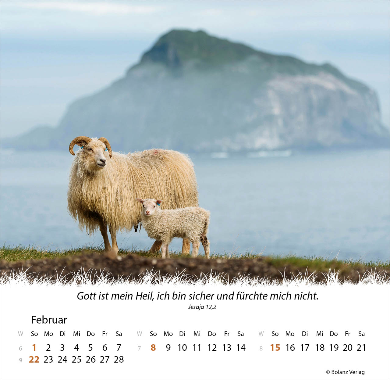Ein Leben für die Schafe 2026 - Tischkalender