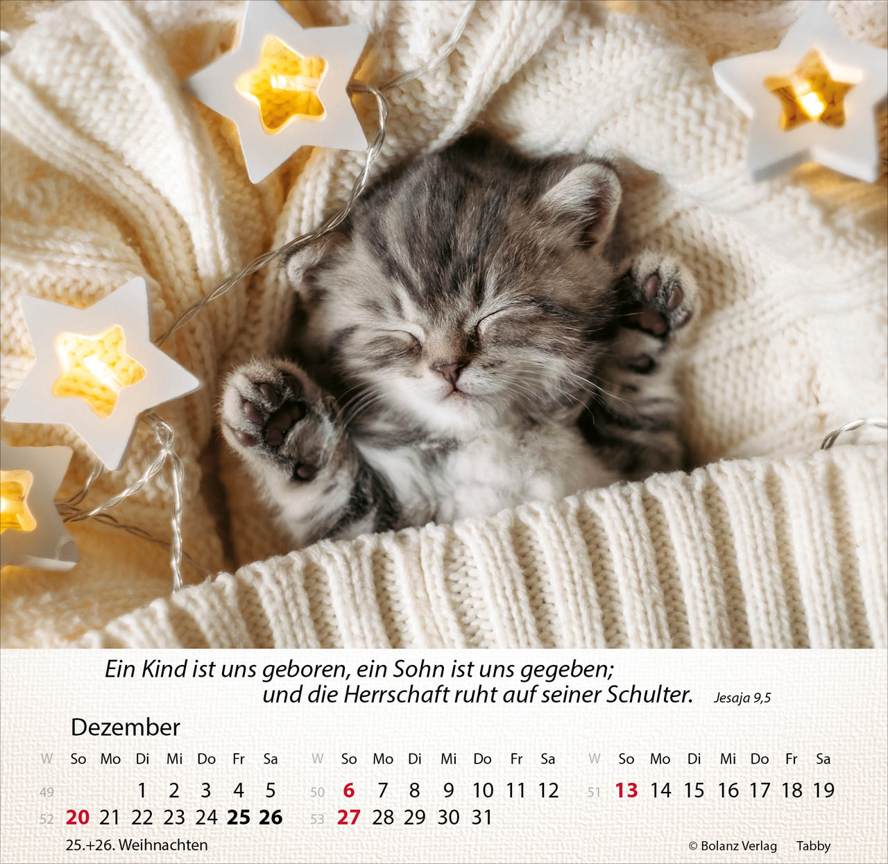 Katzen 2026 - Tischkalender Katzen 2026 - Tischkalender