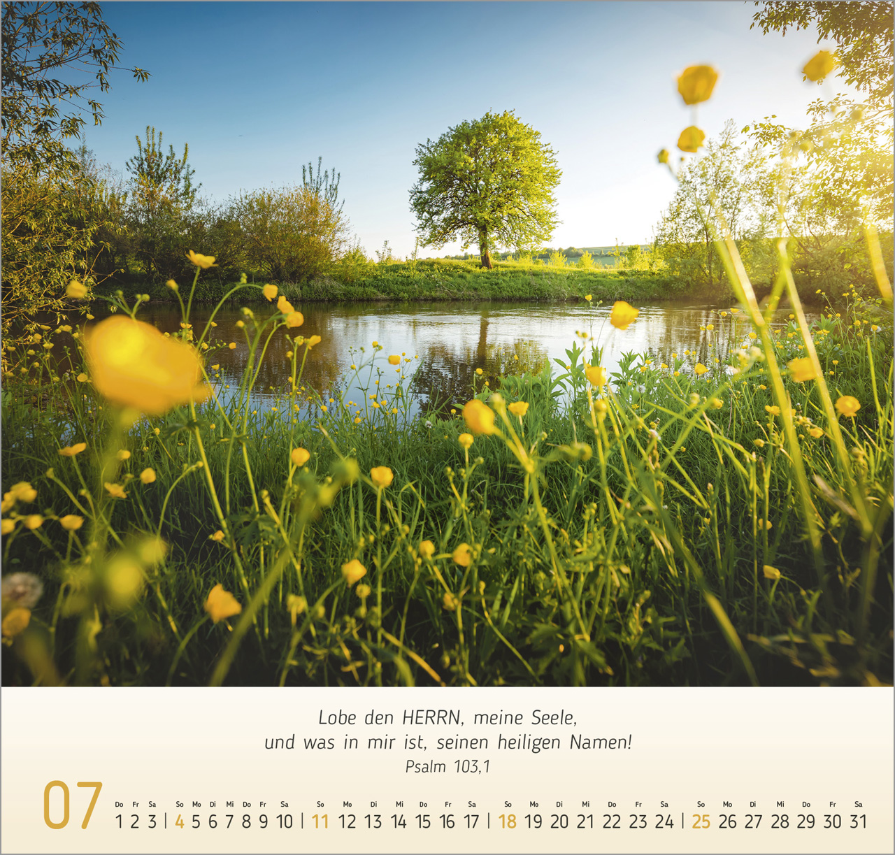 Licht-Impressionen 2027 – Wandkalender