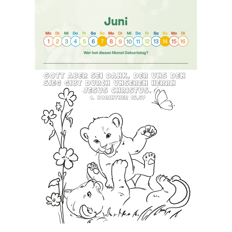 Lupino 2026 - Kinderkalender