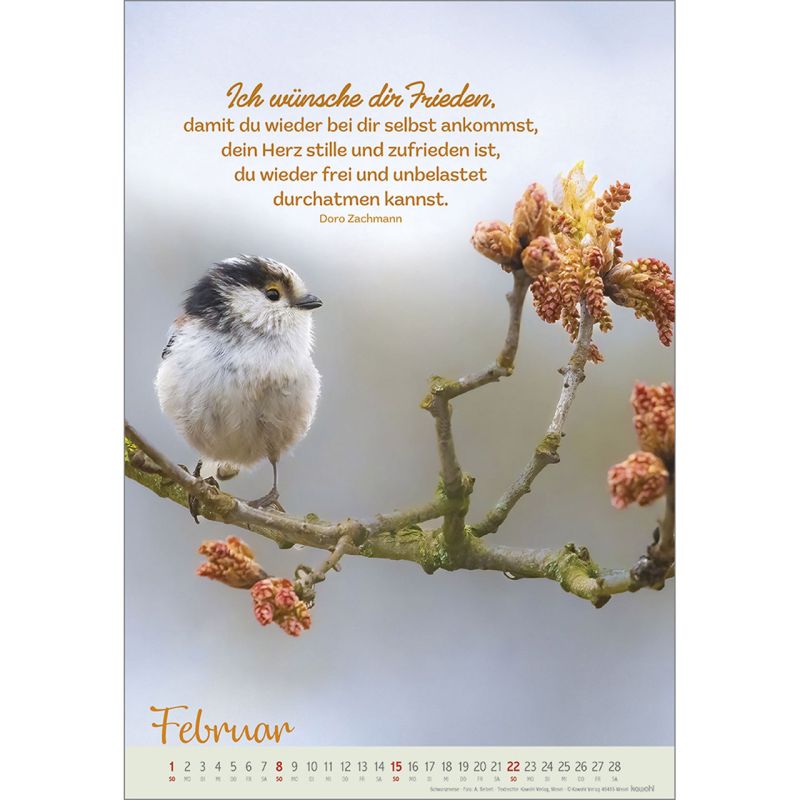 Beflügelt und getragen 2026