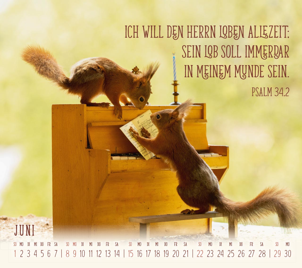 Du sorgst für mich - Eichhörnchen Kalender