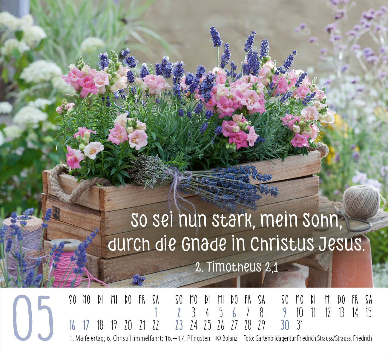 Harmonien für die Seele 2027 – Minikalender