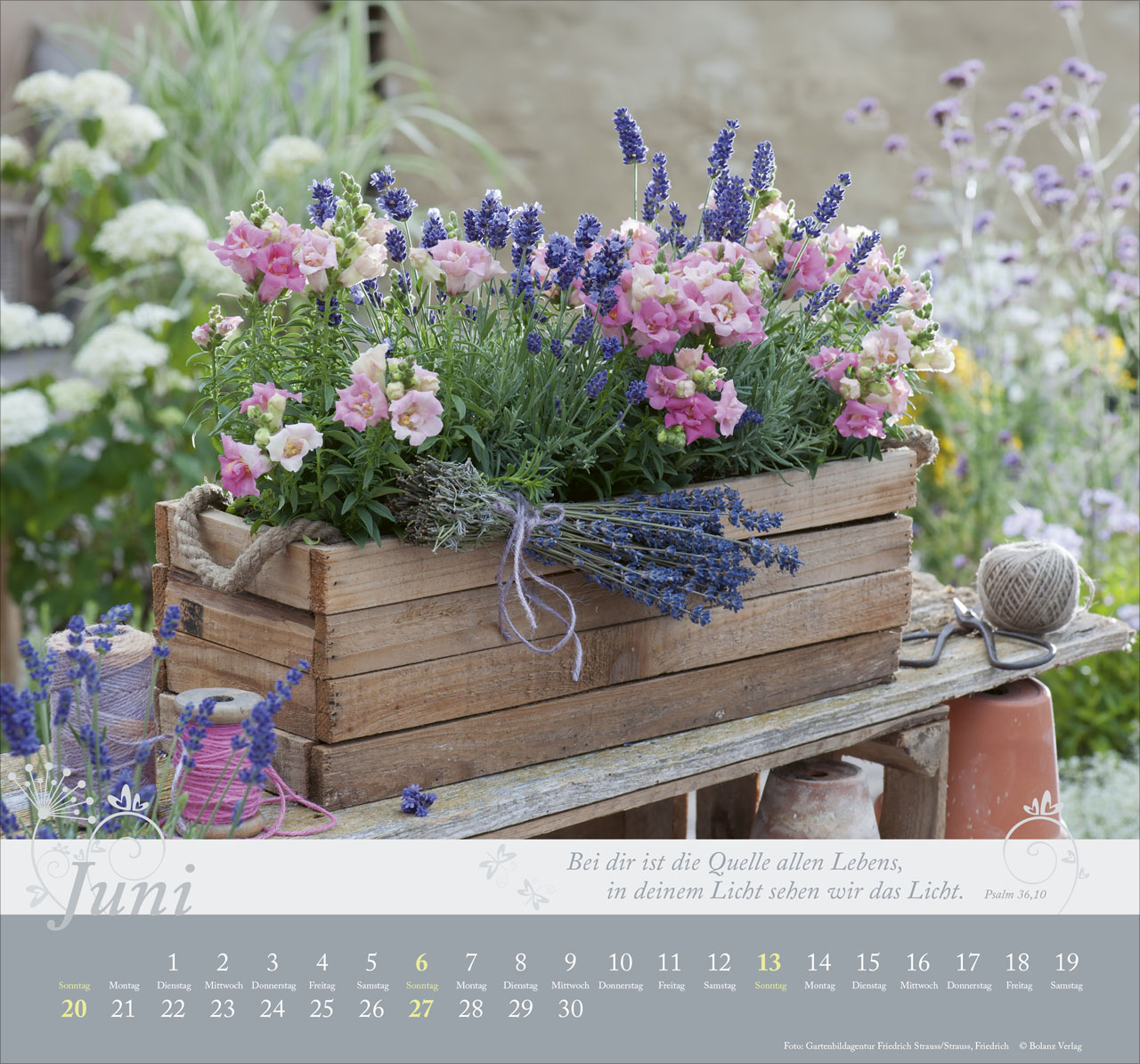 Im Garten zuhause 2027 – Wandkalender