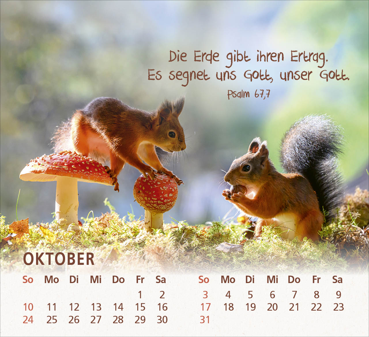 Du bist meine Freude 2027 – Tischkalender