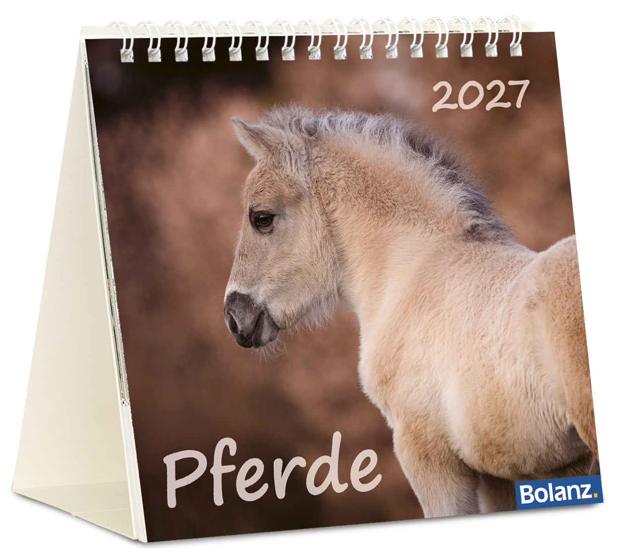 Pferde 2027 – Tischkalender