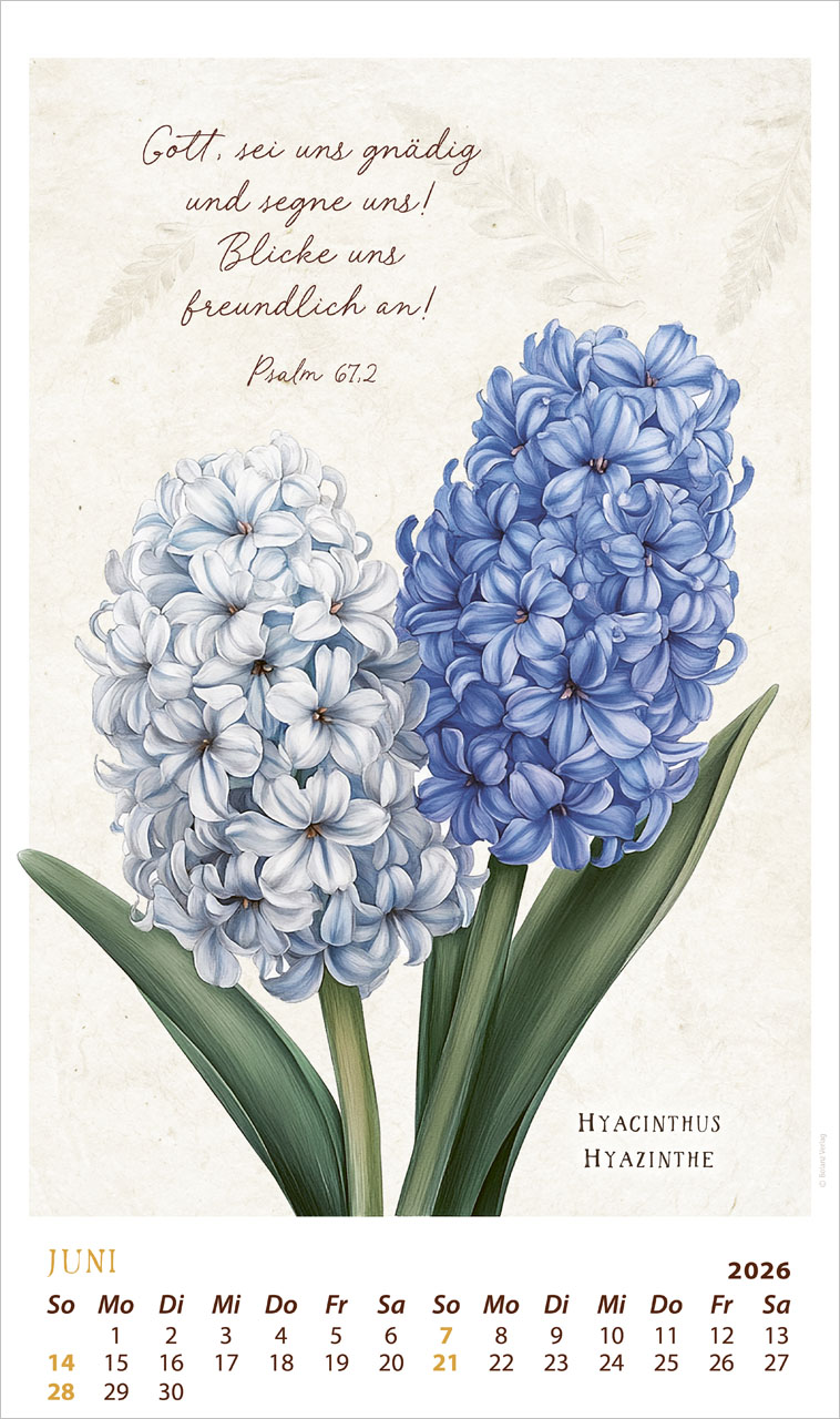 Schmuck Stücke des Schöpfers 2026 - Posterkalender