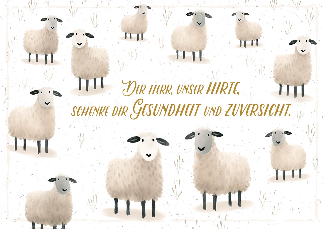 Postkarte Schafe