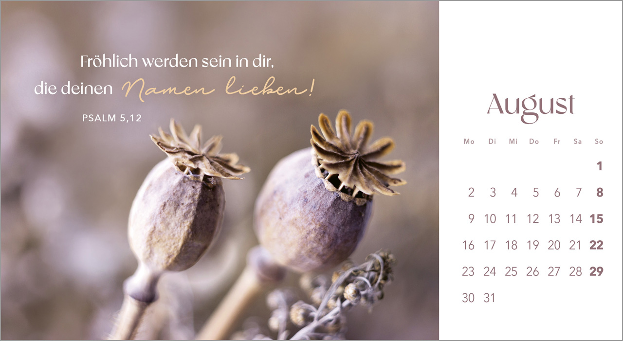 Augenblicke der Anbetung 2027 – Postkartenkalender