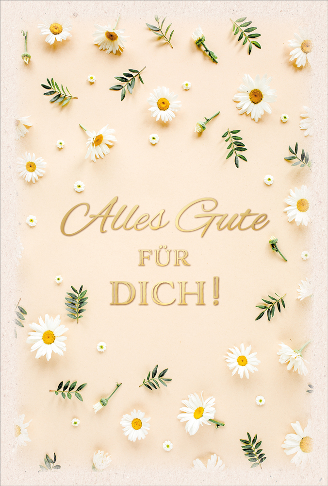 Faltkarte Gänseblümchen