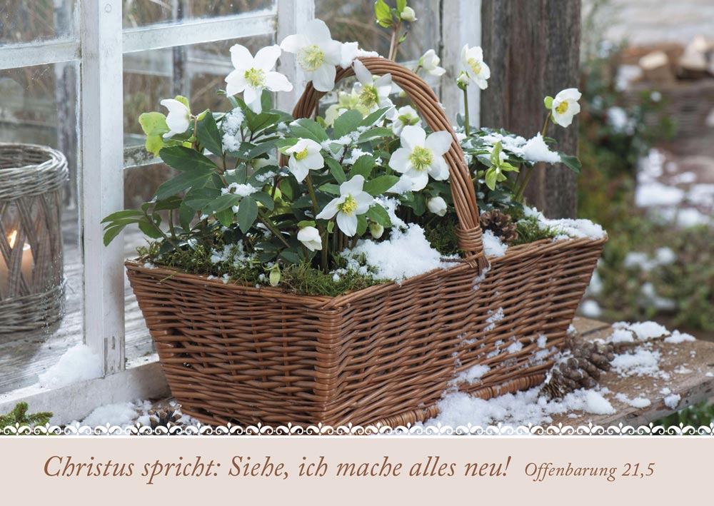 Postkartenbox Wir sind im Garten