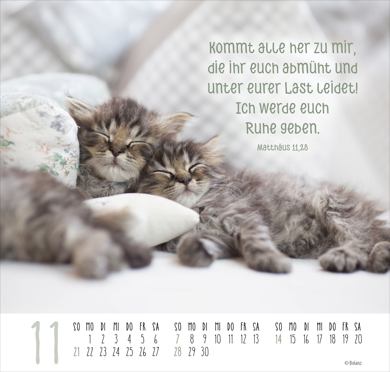 Beste Freunde – Ich mag dich 2027 – Posterkalender