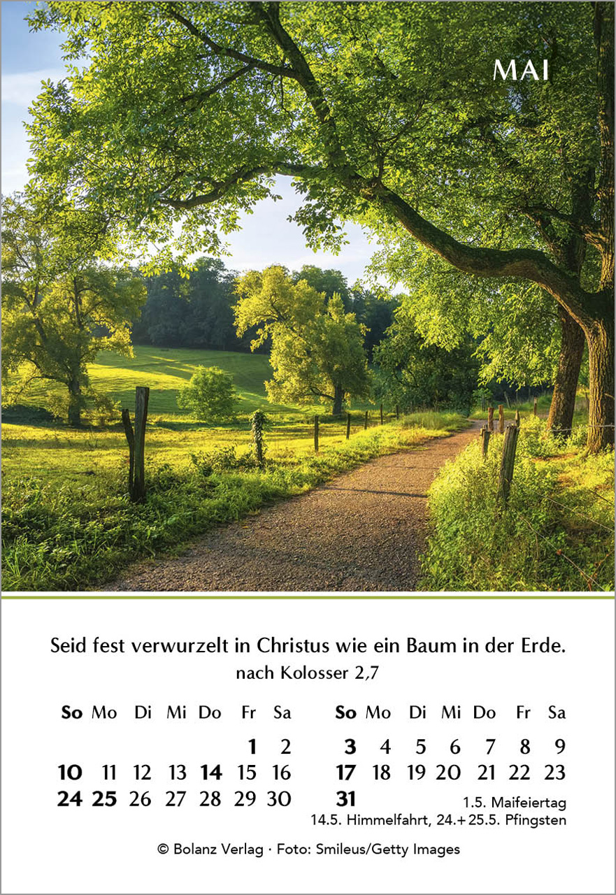 Ein Jahr der Hoffnung Mini-Kalender 2026
