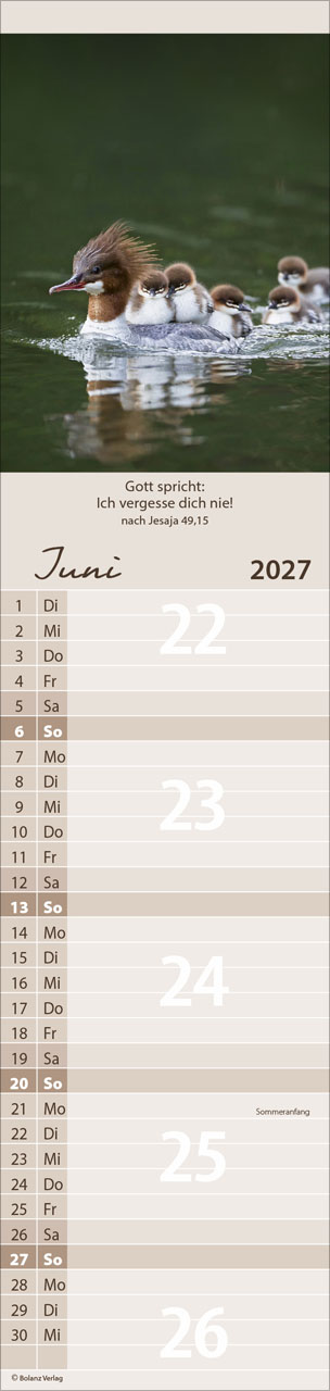 Für Euch 2027 – Streifenterminkalender