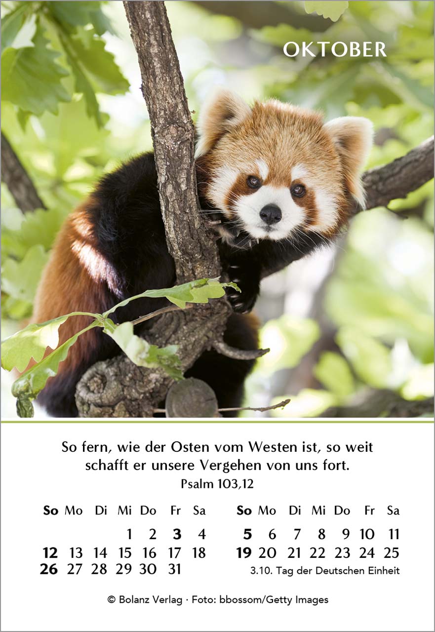 Ein Jahr der Geborgenheit Mini-Kalender