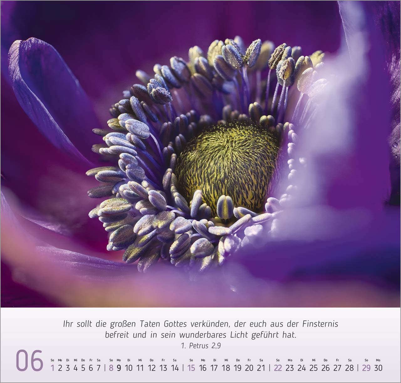 Gesichter der Natur Wandkalender