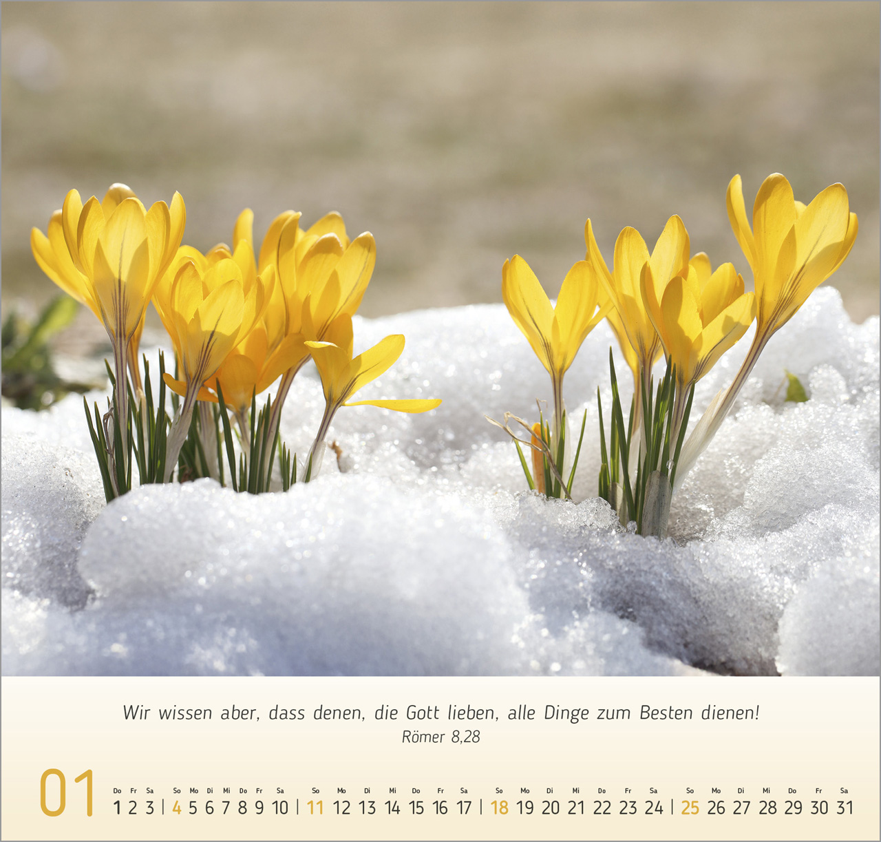 Blumen-Impressionen Wandkalender 2026