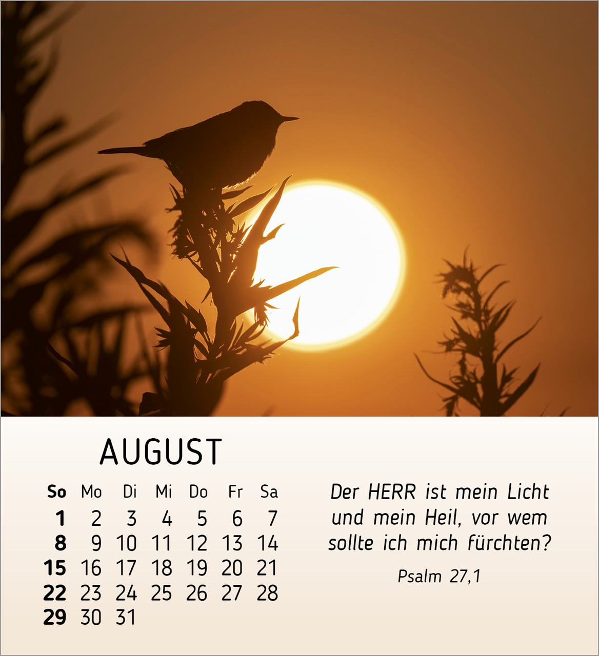 Schönheit des Lichts 2027 – Tischkalender