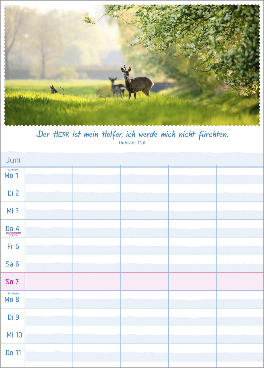 Multiplaner 2026 - Terminplaner Multiplaner 2026 - Terminplaner