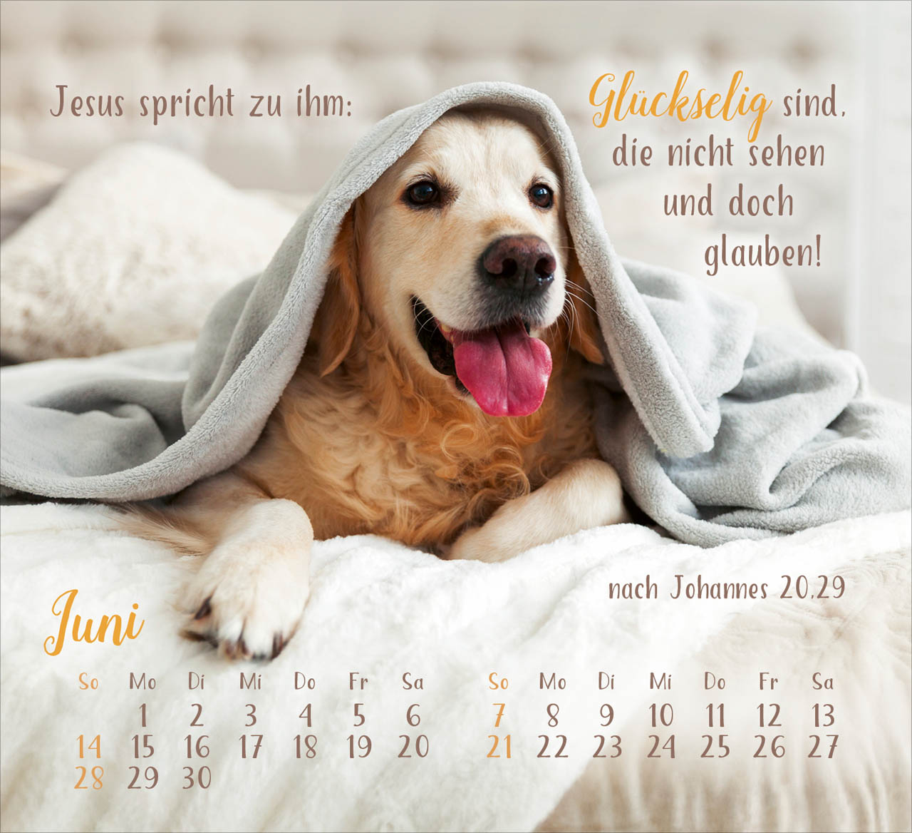 Sei gesegnet! 2026