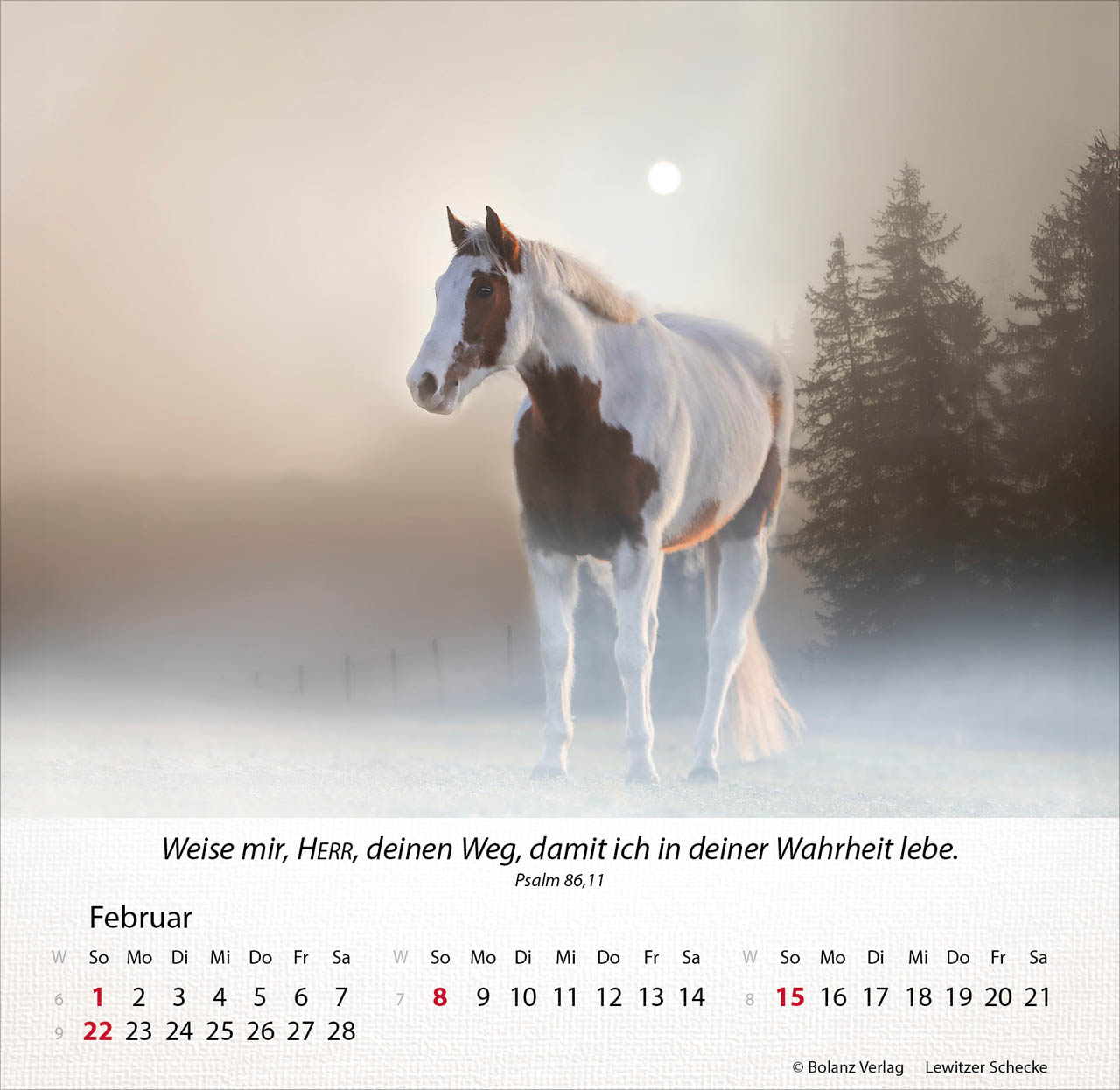 Pferde 2026 - Tischkalender