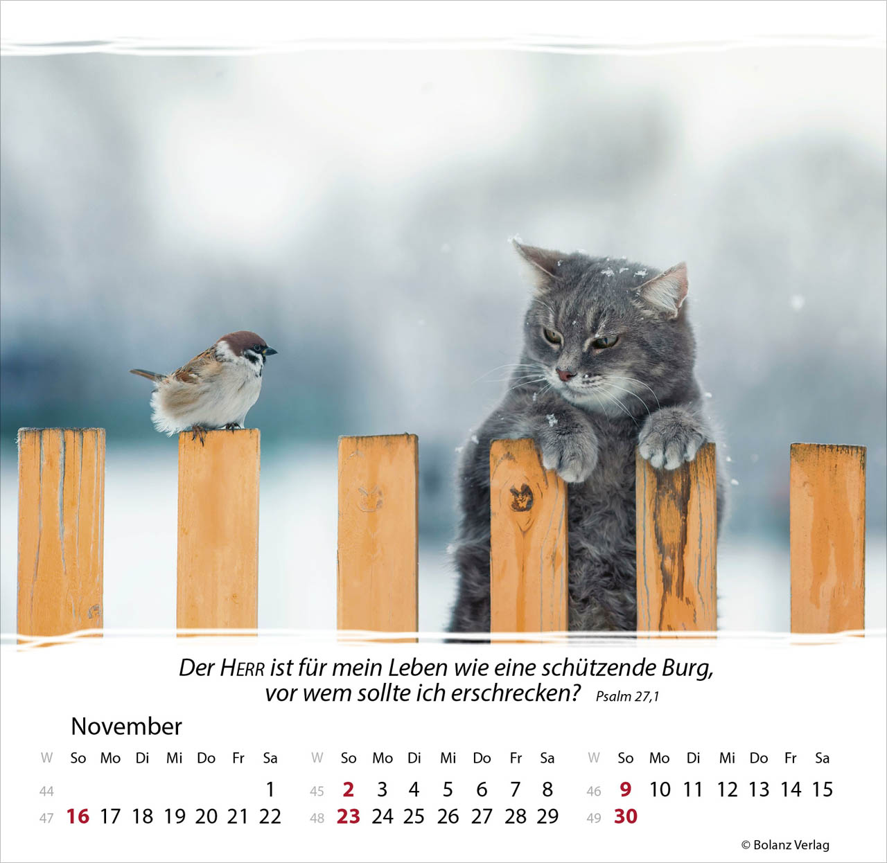 Meine Zeit 2025 - Tischkalender