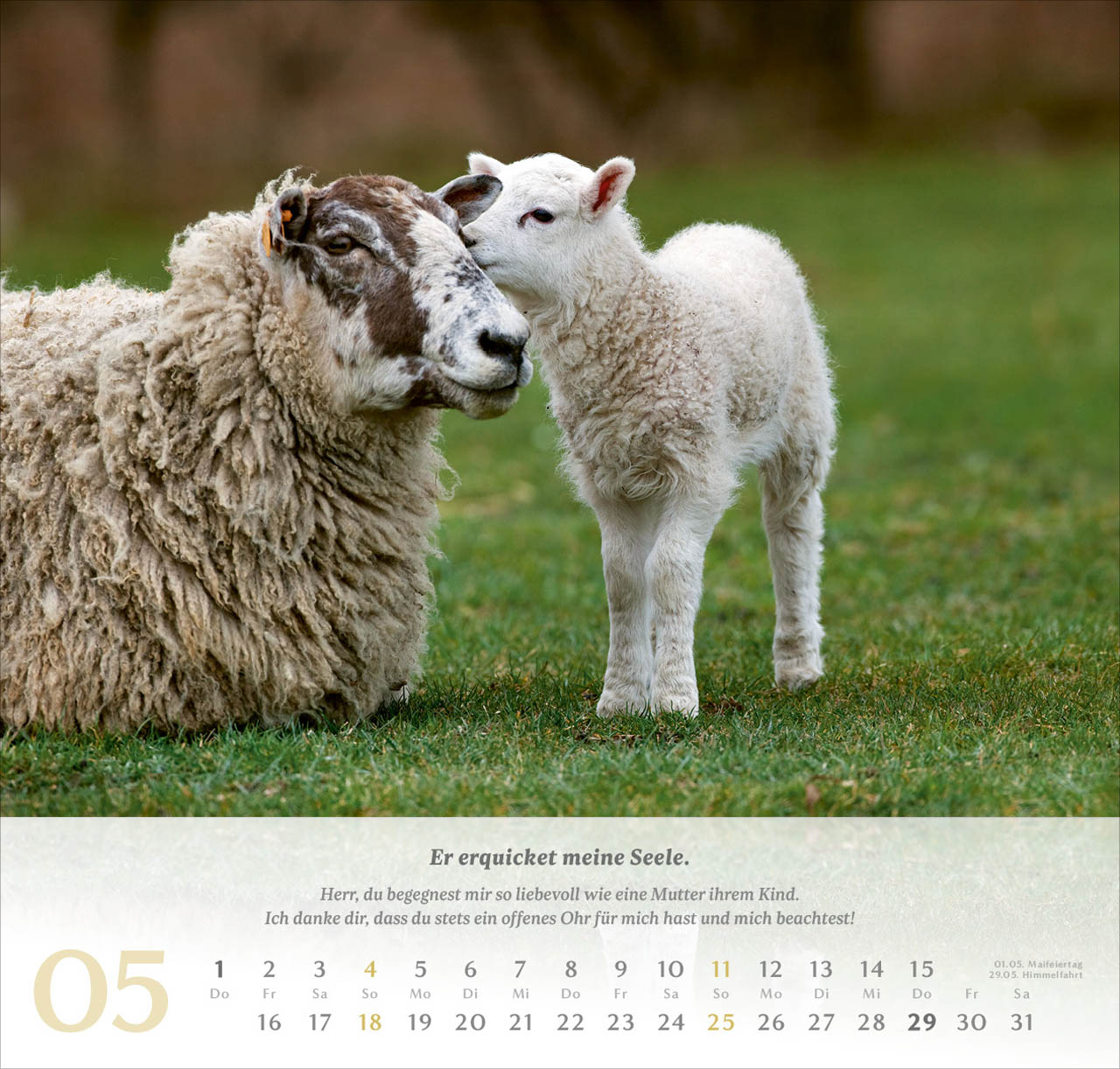 Psalm 23 Wandkalender