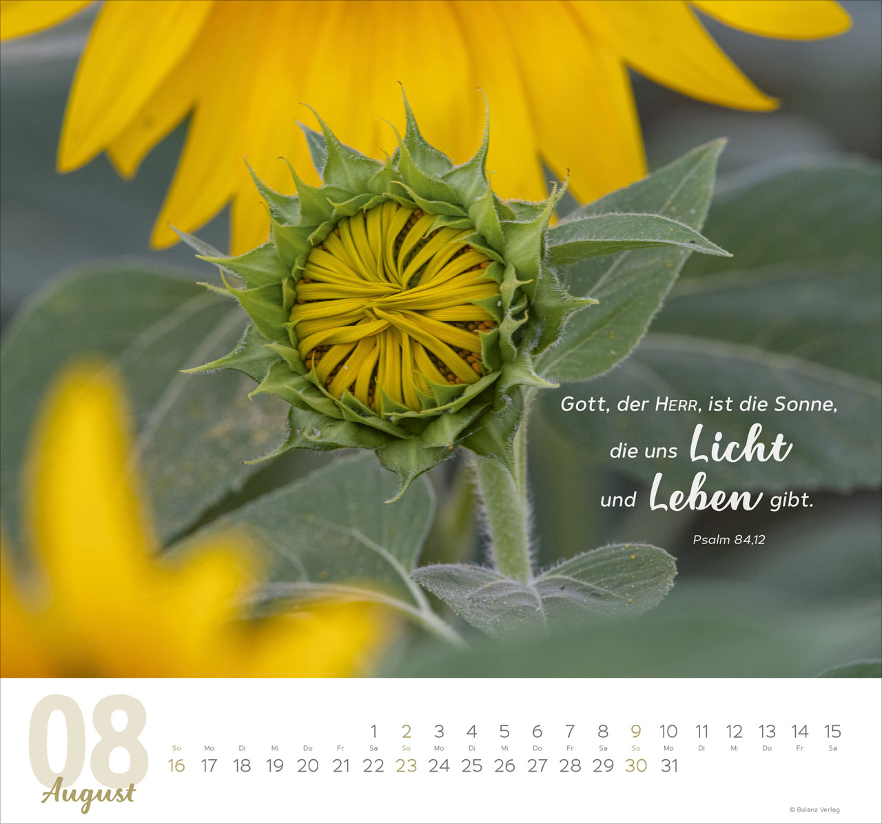Meine Zeit 2026 - Wandkalender