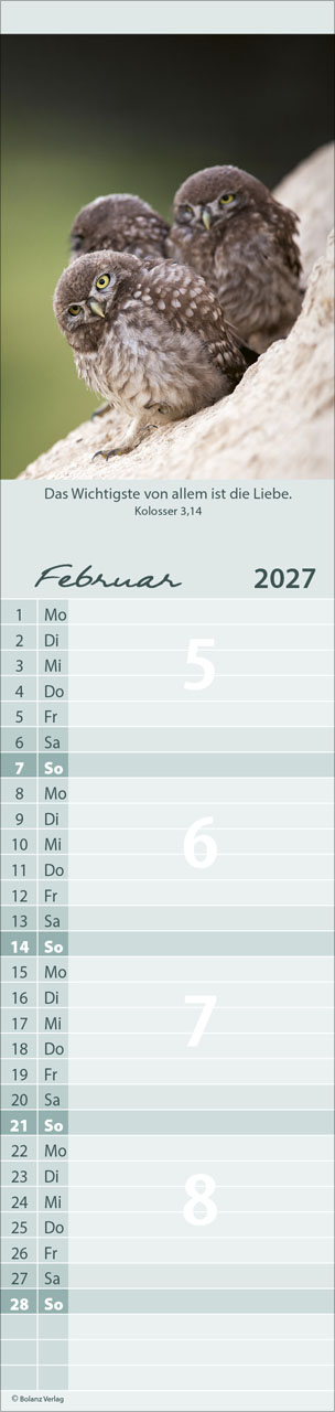 Für Euch 2027 – Streifenterminkalender