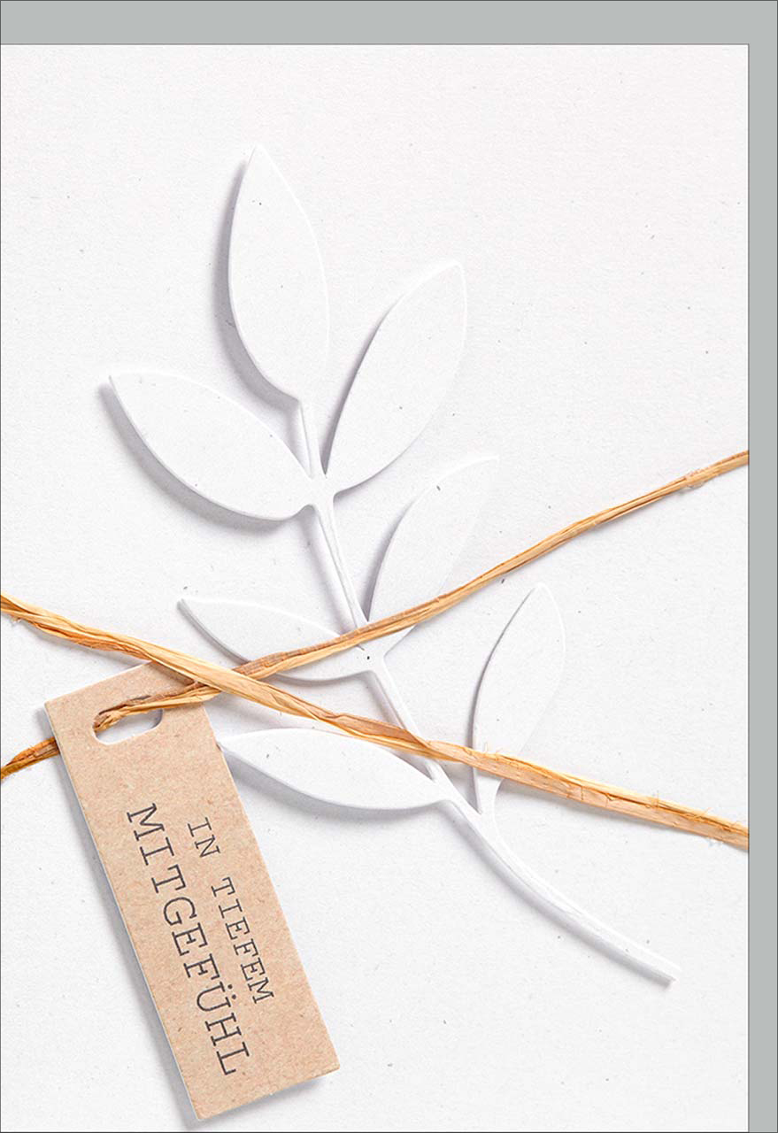 Faltkarte Zweig 3D-Applikation