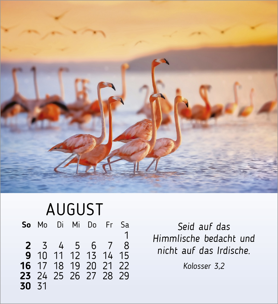 Schöheit des Lichts Tischkalender 2026 Schöheit des Lichts Tischkalender 2026