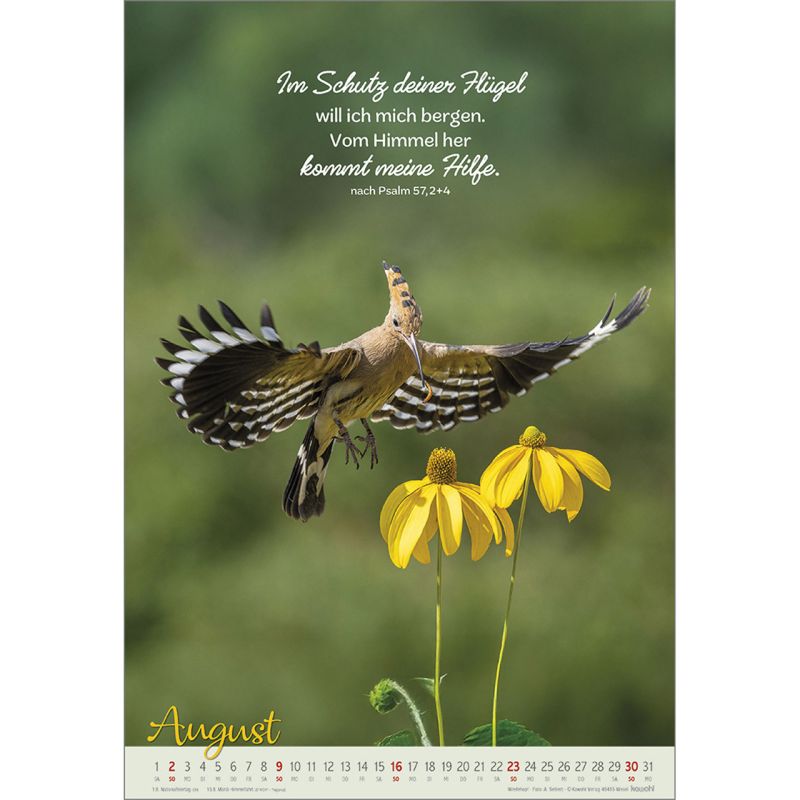 Beflügelt und getragen 2026