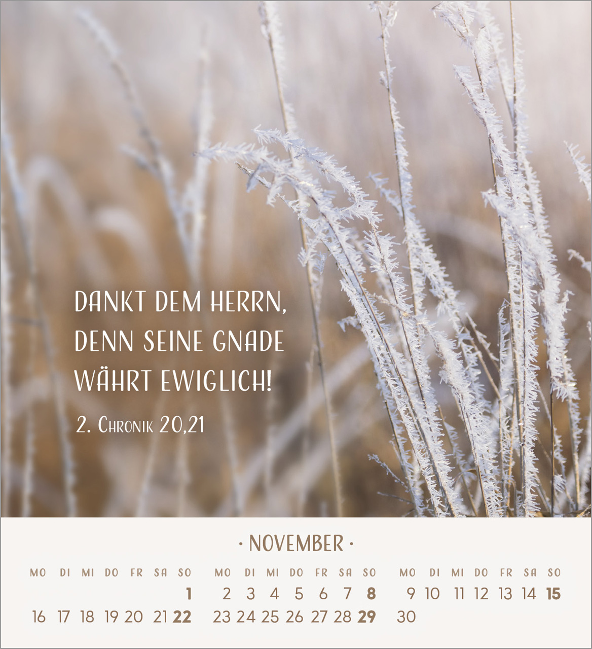 Zarte Blumengrüße Tischkalender 2026