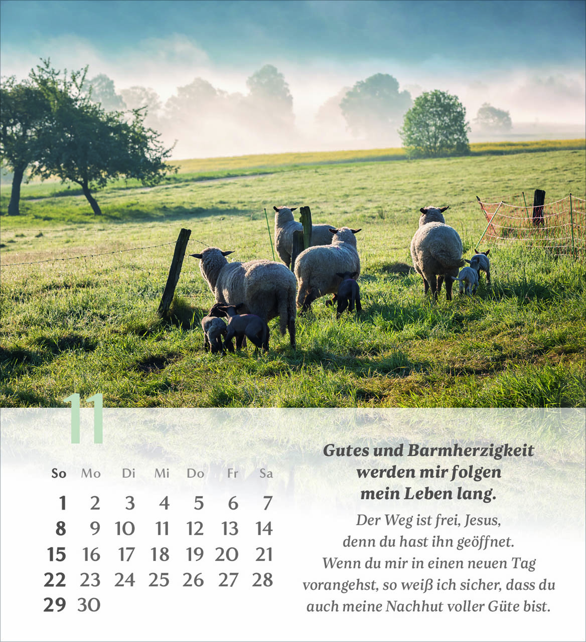 Psalm 23 Tischkalender 2026