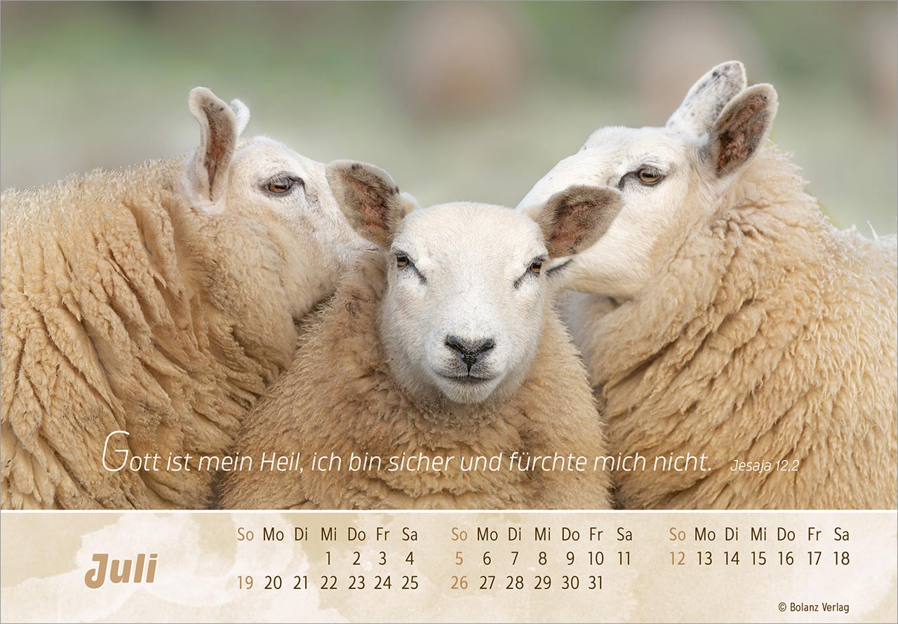 Der Gute Hirte 2026 - Panoramakalender