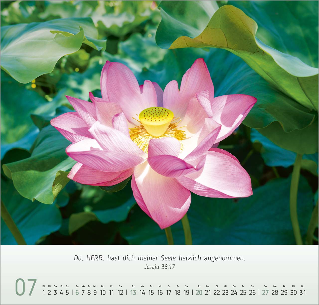 Blumen-Impressionen Wandkalender