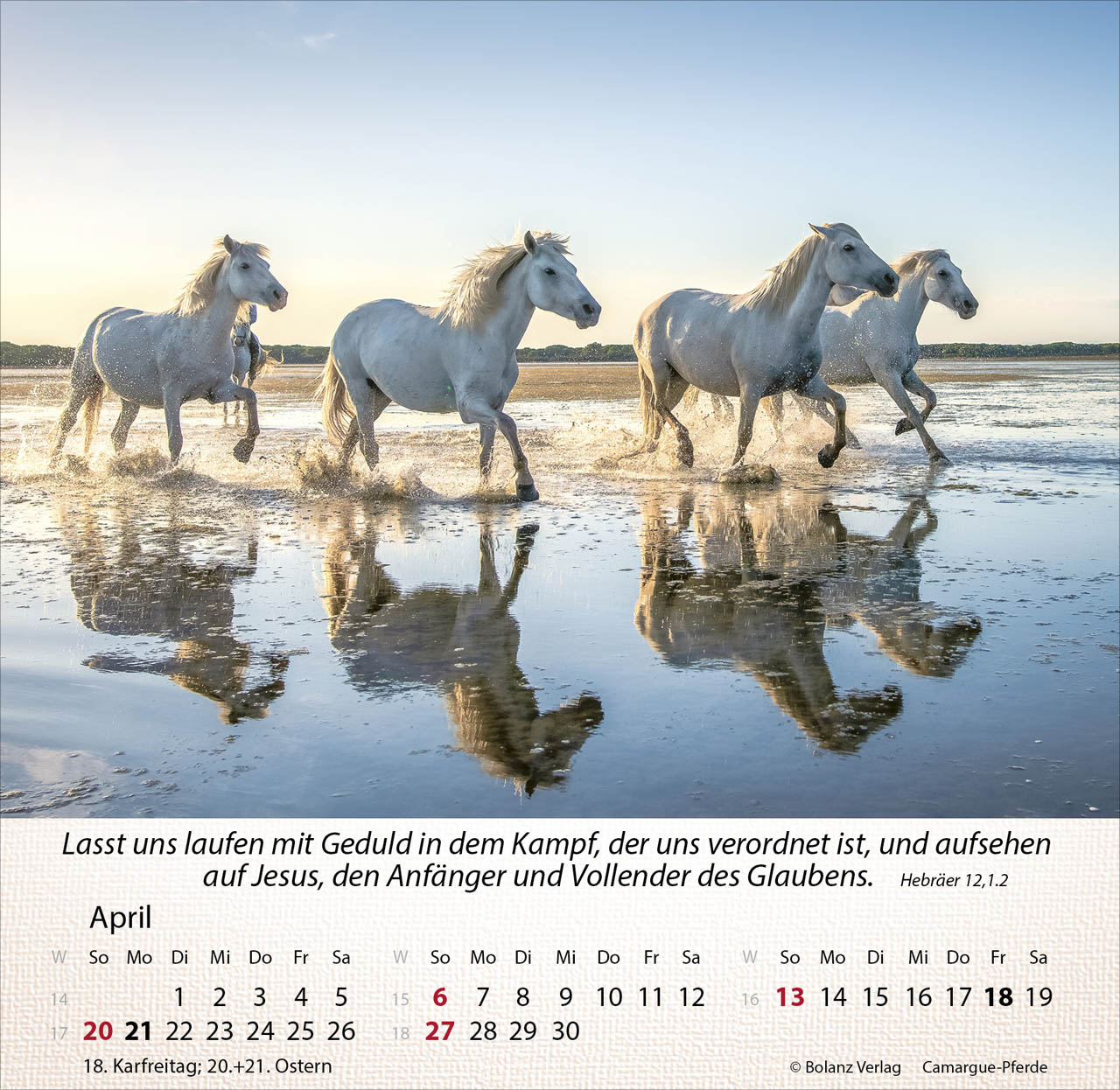 Pferde 2025 - Tischkalender