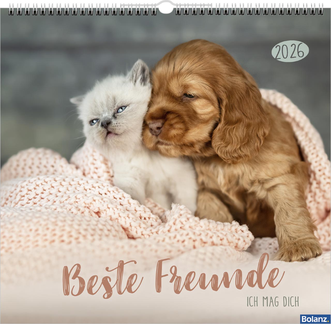Beste Freunde - Ich mag dich 2026 - Posterkalender